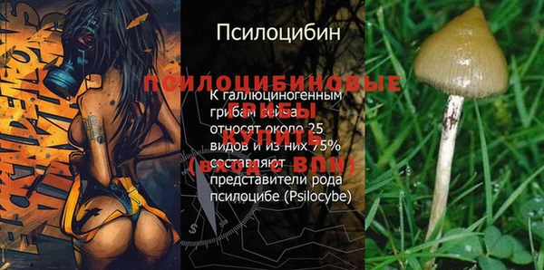 стаф Михайлов