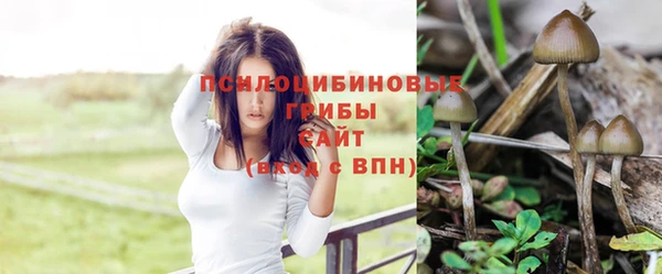 кокс Михайловск