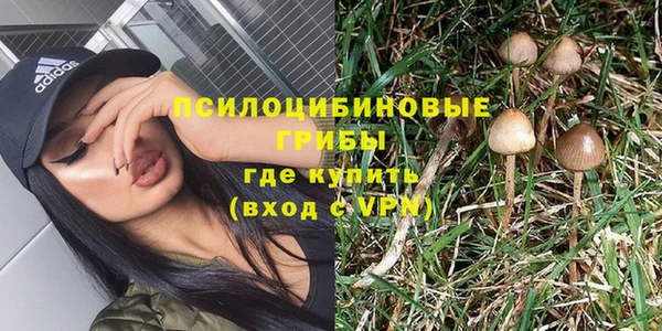 стаф Михайлов