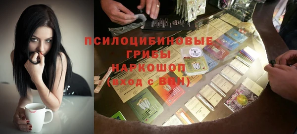 стаф Михайлов