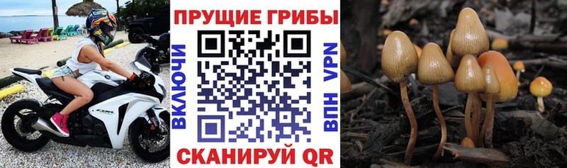 Галлюциногенные грибы мухоморы  Тбилисская 